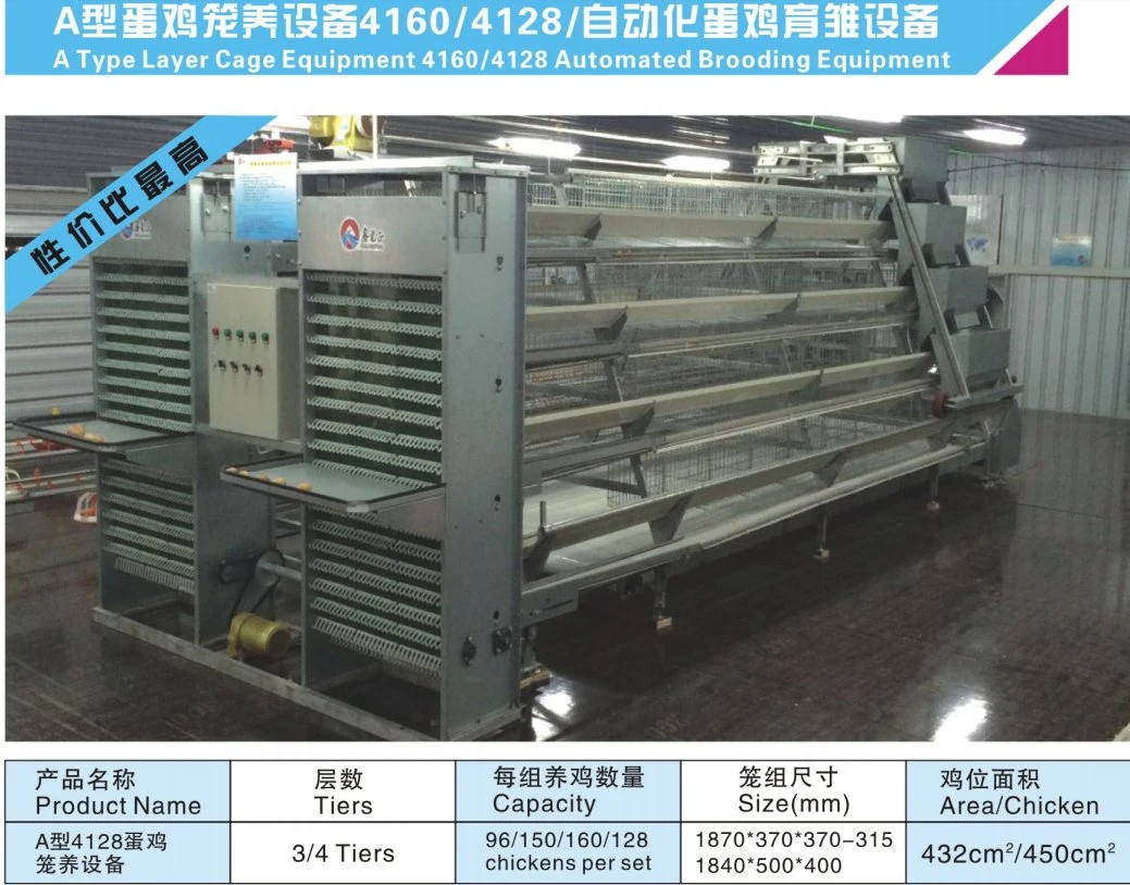 Automatic Chicken House Poultry Farms Layer Cages Poultry Feeding Equipment