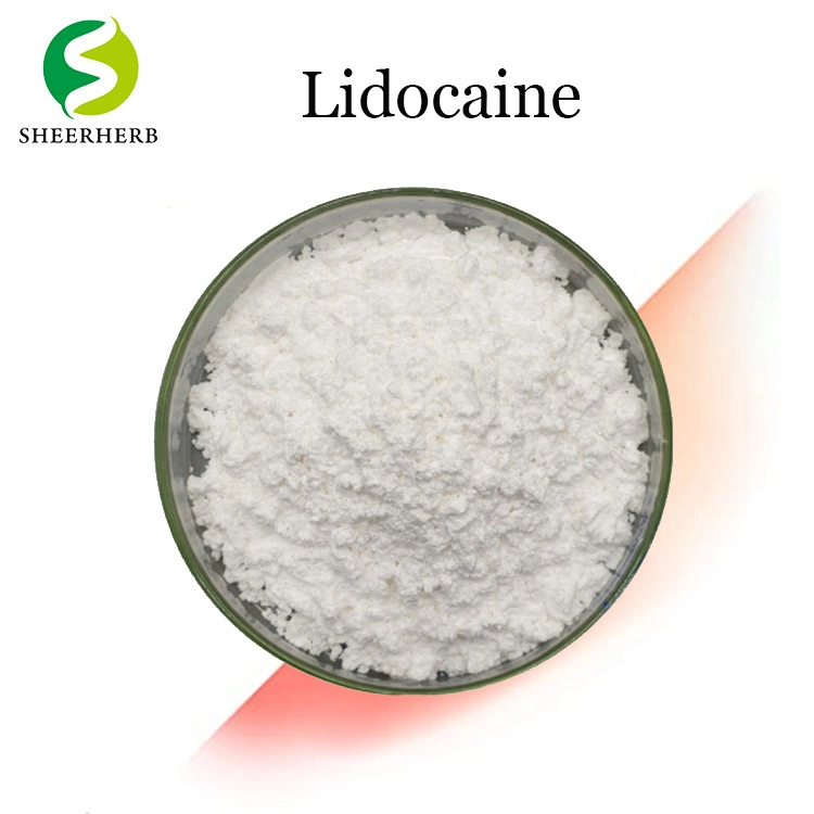 Hight Quality Medicine Raw Material Lidocaine Hydrochloride Anti-Pain Lidocaine 99% Lidocaine Powder