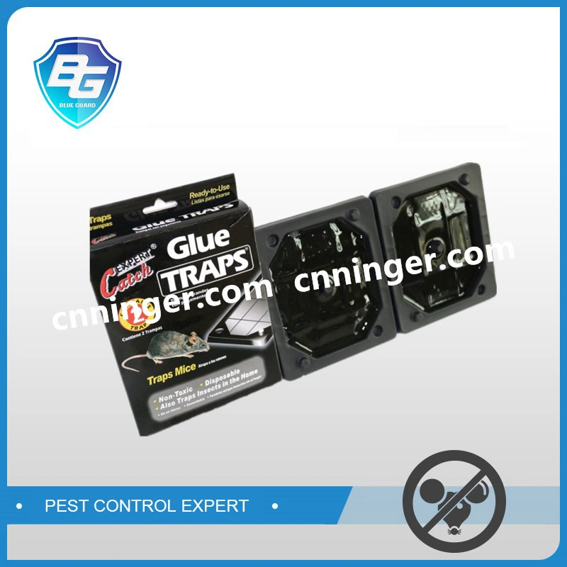 High quality/High cost performance Plastic Mouse Glue Traps