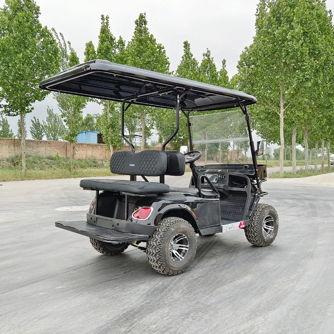 Carrito de Golf Negro eléctrico de 4 asientos para Servicio de habitación de Hotel