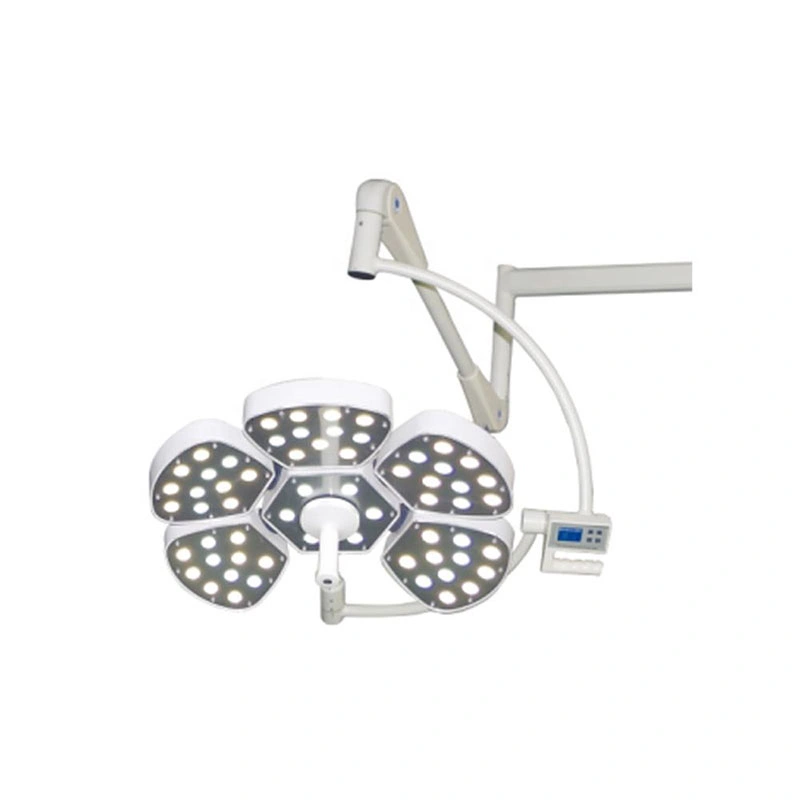 Vet Instruments Double Head Surgical Lamp Ot Operating Room Ceiling Shadowless Surgical LED Light Price