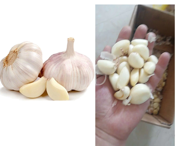 Industrial Automatic 200kg Peeled Peeler Remove Skin Garlic Peeling Machine with Good Price