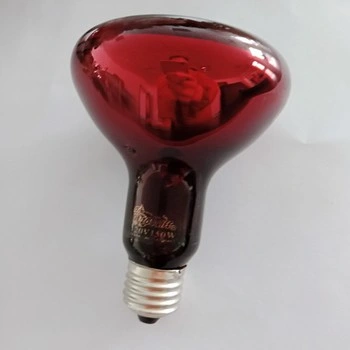 Reptile UVB Bulbs Lamp LED Reptile Light Fixture