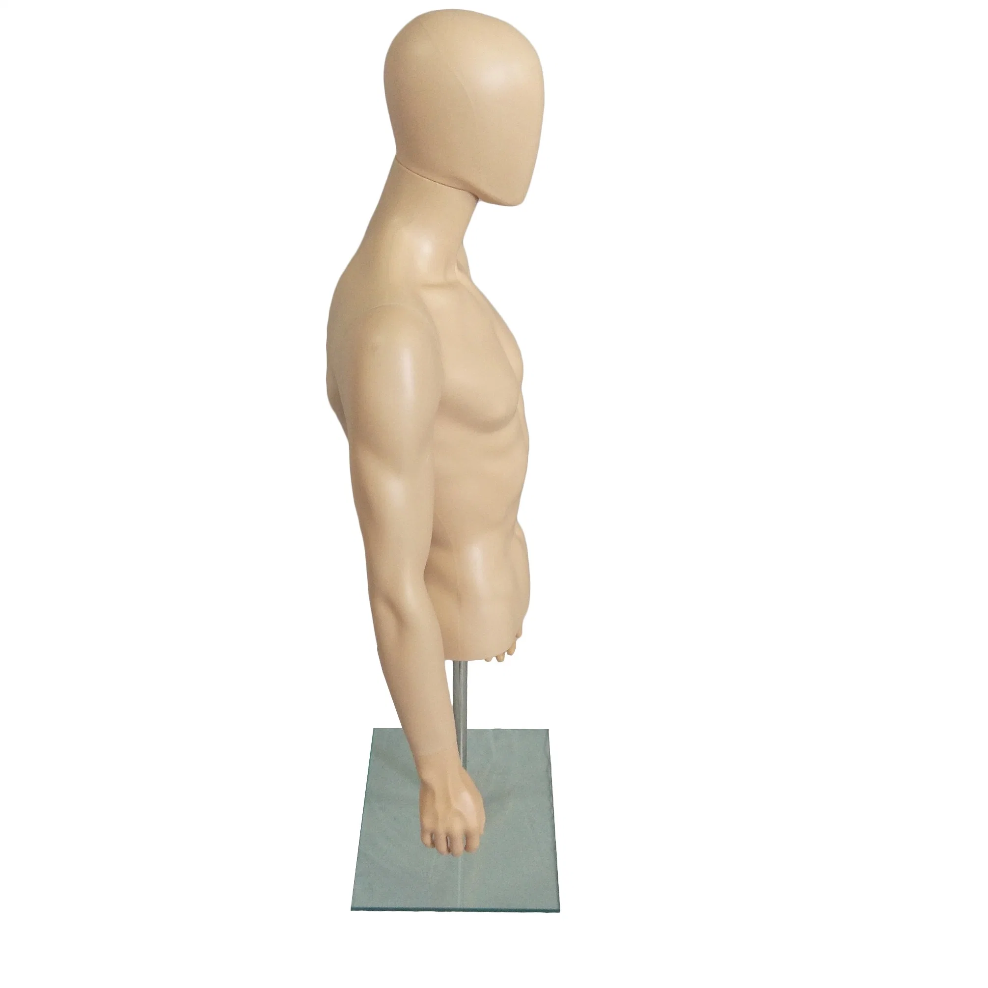 Kleiden Mannequin Shop Wellpappe PP-Display männlich stehend voll / halb Körper