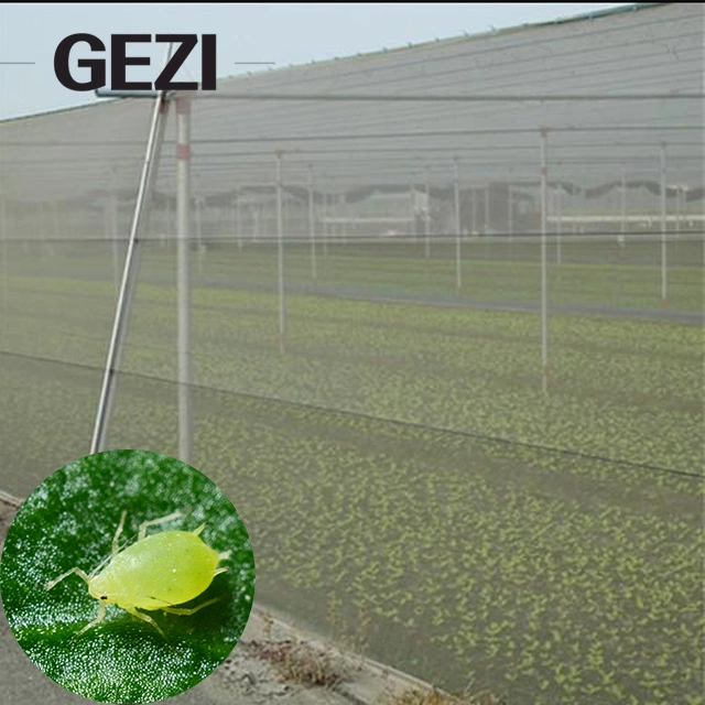 Agriculture Anti Proof Mesh Net Insect Protection Netting Polyester UV Protection HDPE PE Plastic for Tunnel Farming