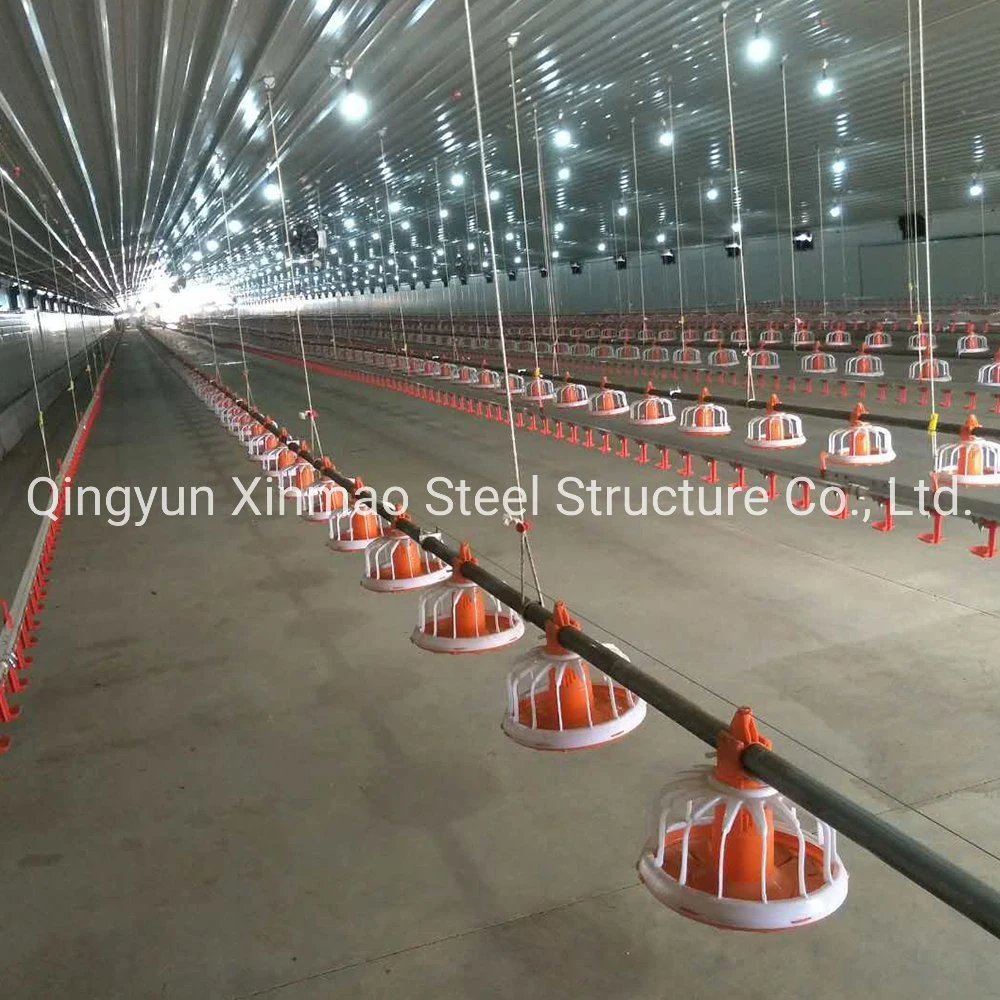 Durable Steel Structure Poultry House Building for Bulk Export