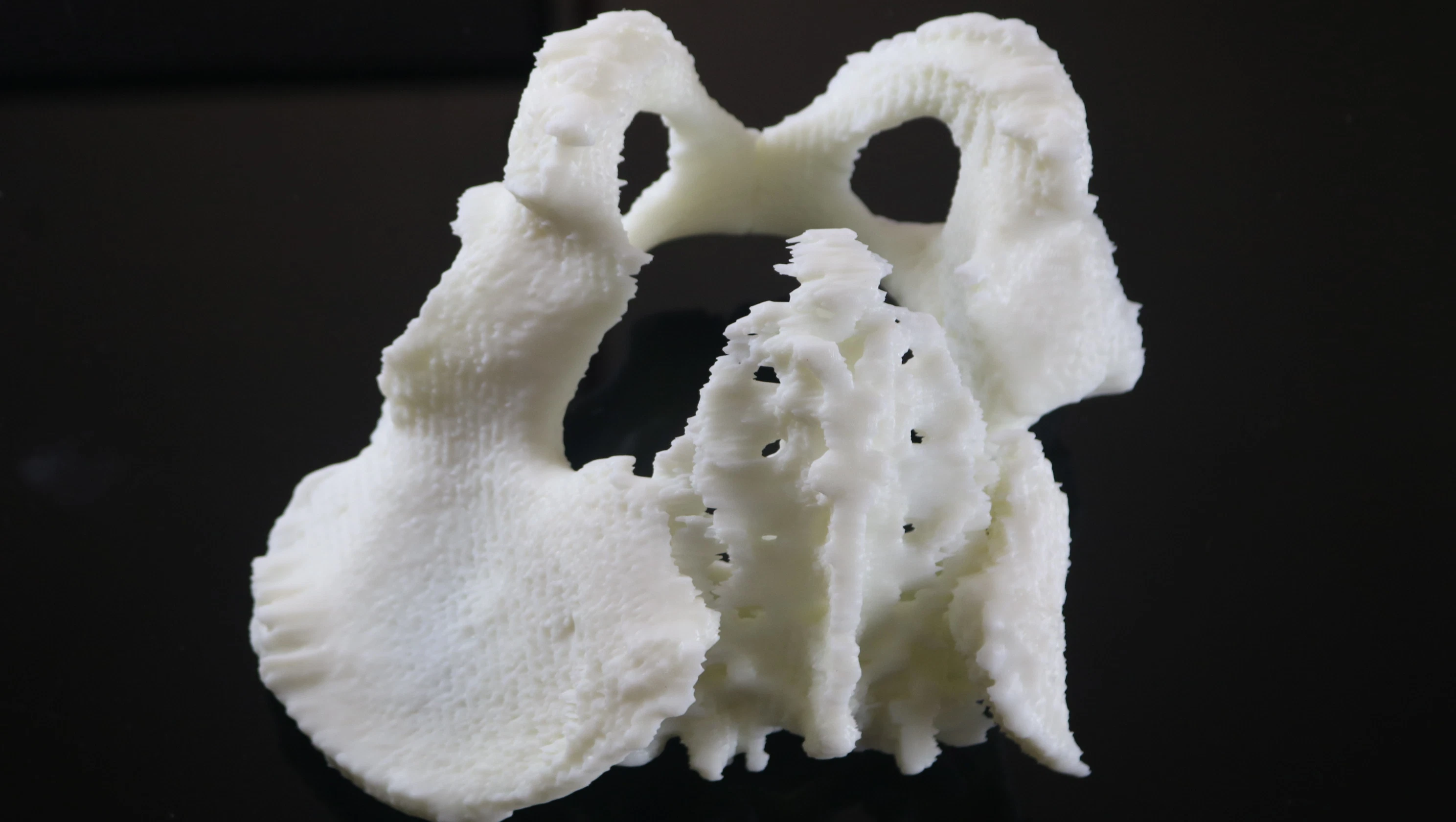 High quality/High cost performance  SLA Resin 3D Printing Service for Zygomatic Model