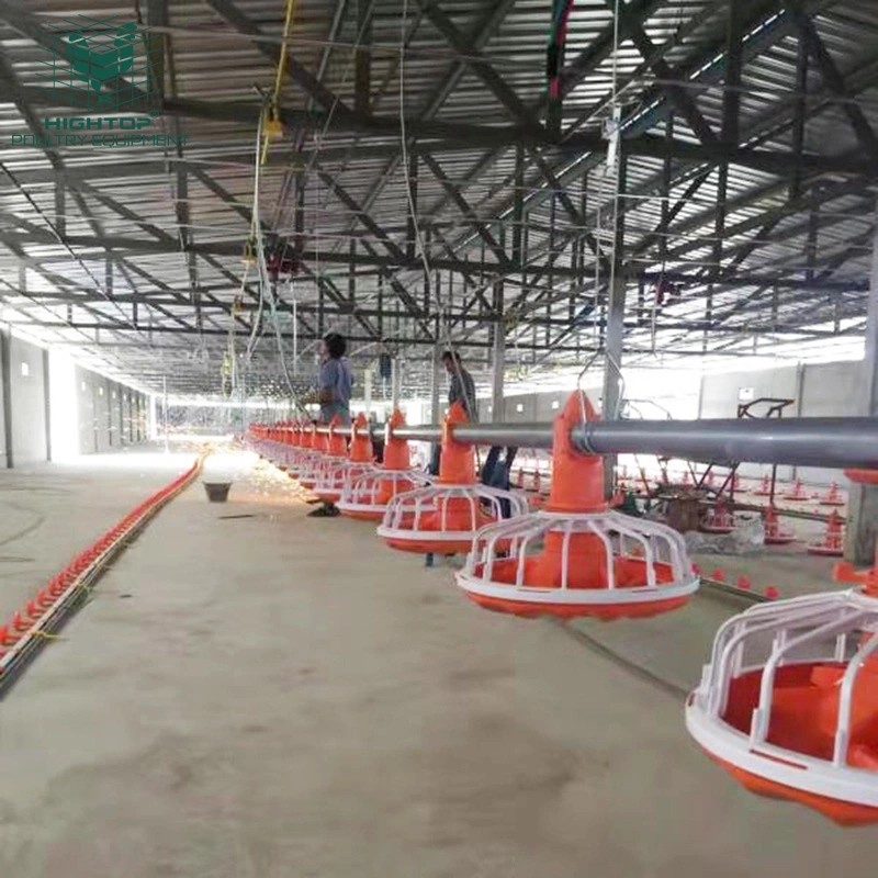 Automatic Poultry Raising System For Chicken Broiler Farm Ground Floor Feeding And Watering Equipment