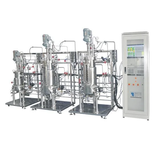 Stainless Steel Industrial Lactose Fermenter and Non-Lactose Fermenter Bioreactor System