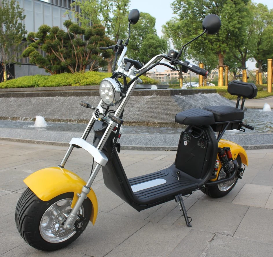 Electric Scooter Wellsmove Hot Sale Patinete Eletrico EEC/Coc Citycoco 1500/2000W Electric Bike