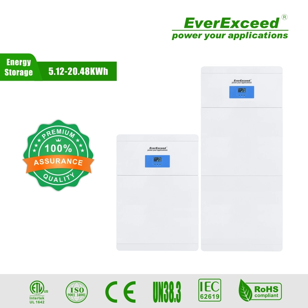 Best Selling Lithium Battery off Grid Energy Storage Solution Emergency Power