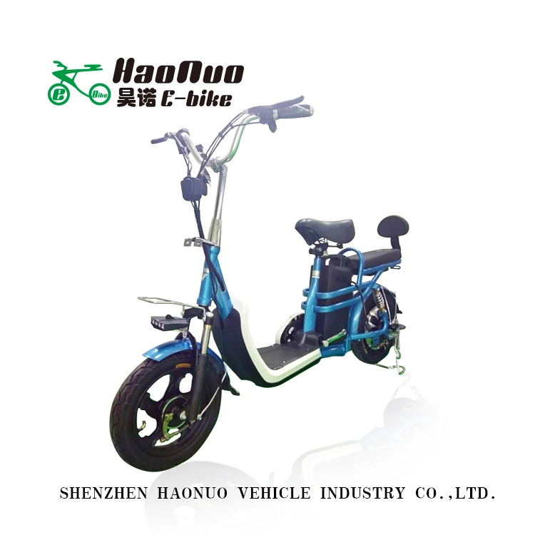 2020 Ce Certification A2b 48V No Folding Electric Bicycle with Cheap Price