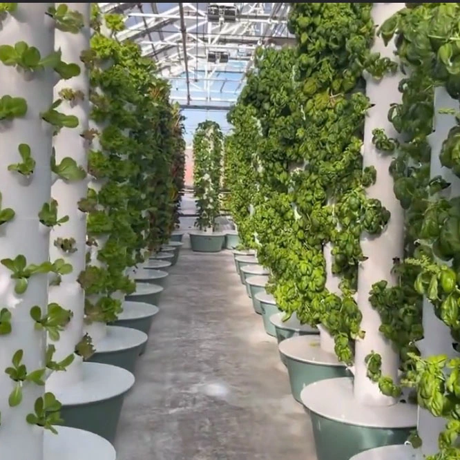 Aeroponics Towers sistemas de Jardim vertical Farming Hydroponic Garden Tower