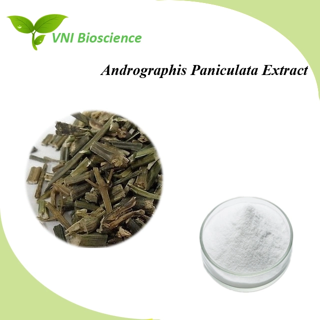 Extracto de paniculata de Androphis natural 100% certificado Halal