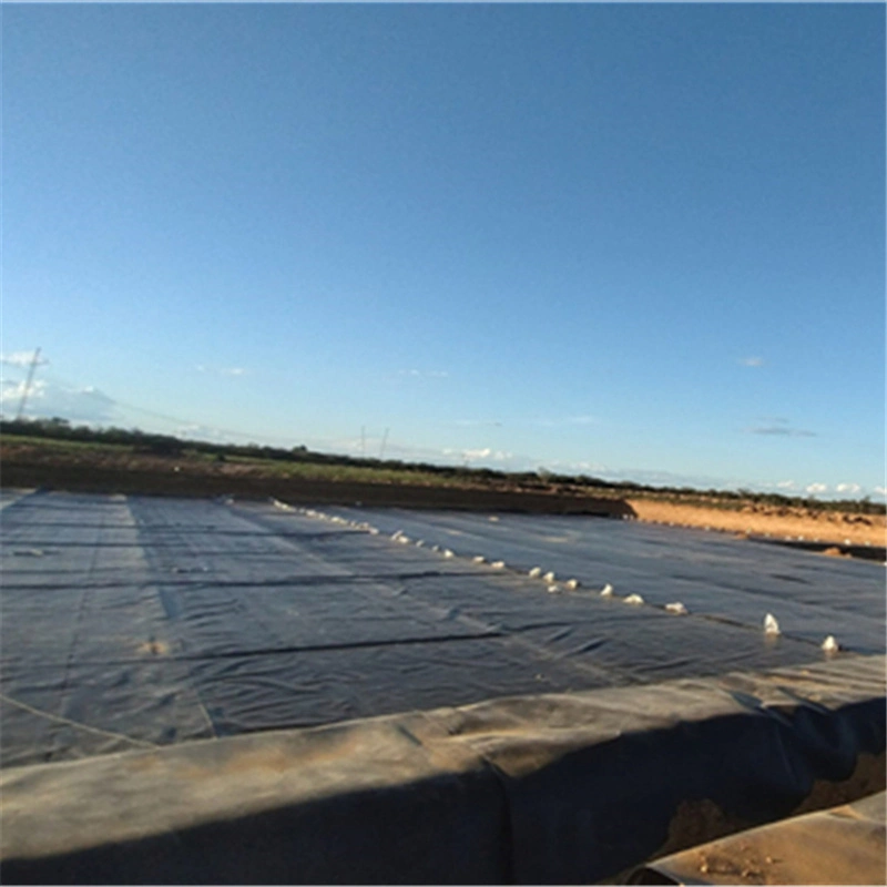 Terraplén ASTM GM16 Geo Liner 500/8000/1000 micras Fabricante Anti-filtración impermeable HDPE Geomembrana para la Granja del té en Venezuela/Senegal