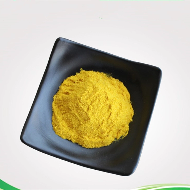 Pharmaceutical Intermediate CAS 633-65-8 97% 98% Pure Phellodendron Extract Berberine Hydrochloride HCl Powder