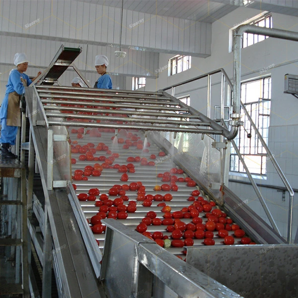 Norme européenne la pâte de tomate Brix 36-38 % Pause à froid