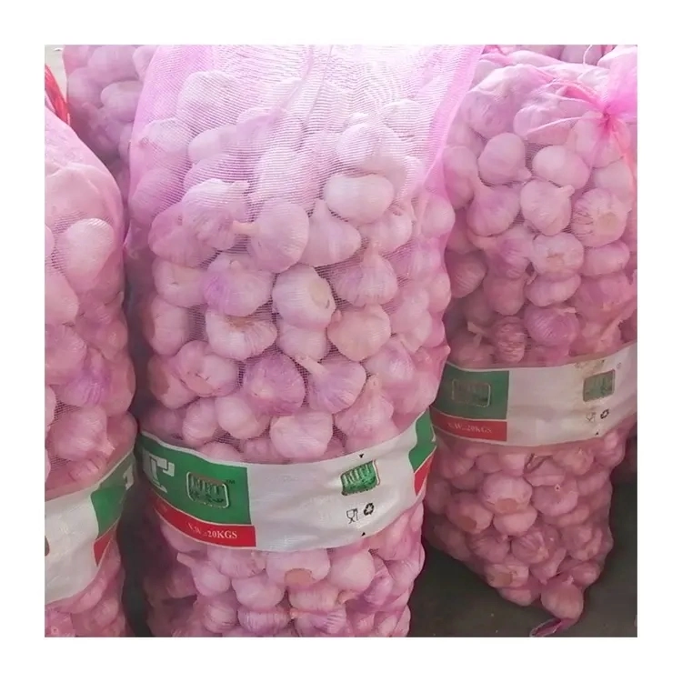 Red Garlic Newest Crop Normal White Garlic High quality/High cost performance Wholesale/Supplier 25g Net Bag