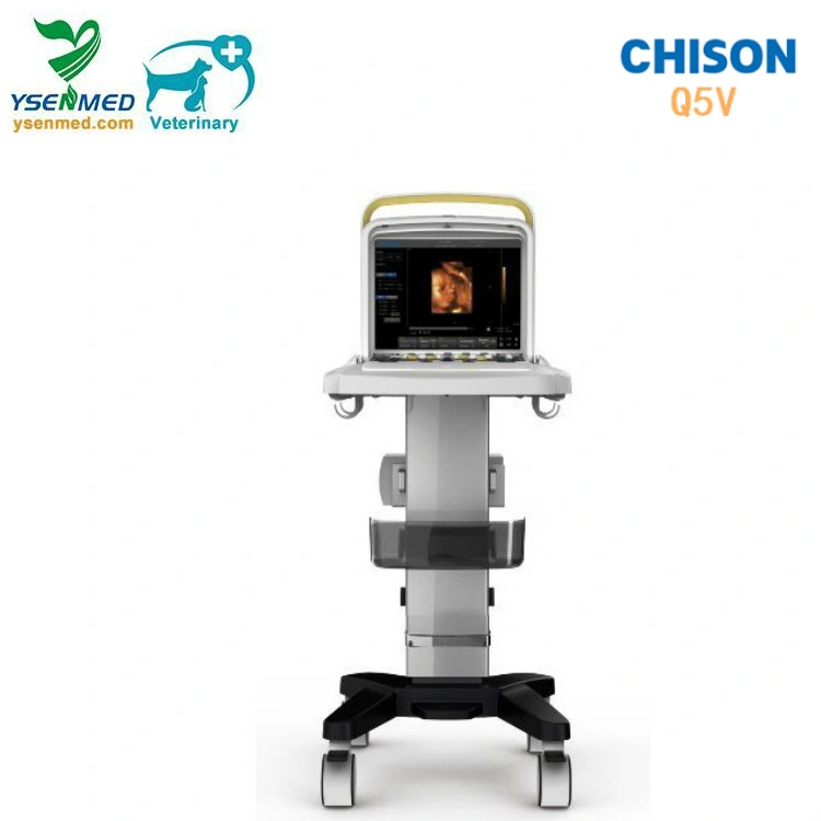 Chison Q5V equipos médicos veterinarios 4D ecografía animal portátil