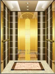 Vvvf 1000kg Cheap Passenger Residential Traction Machine Lifts Elevator