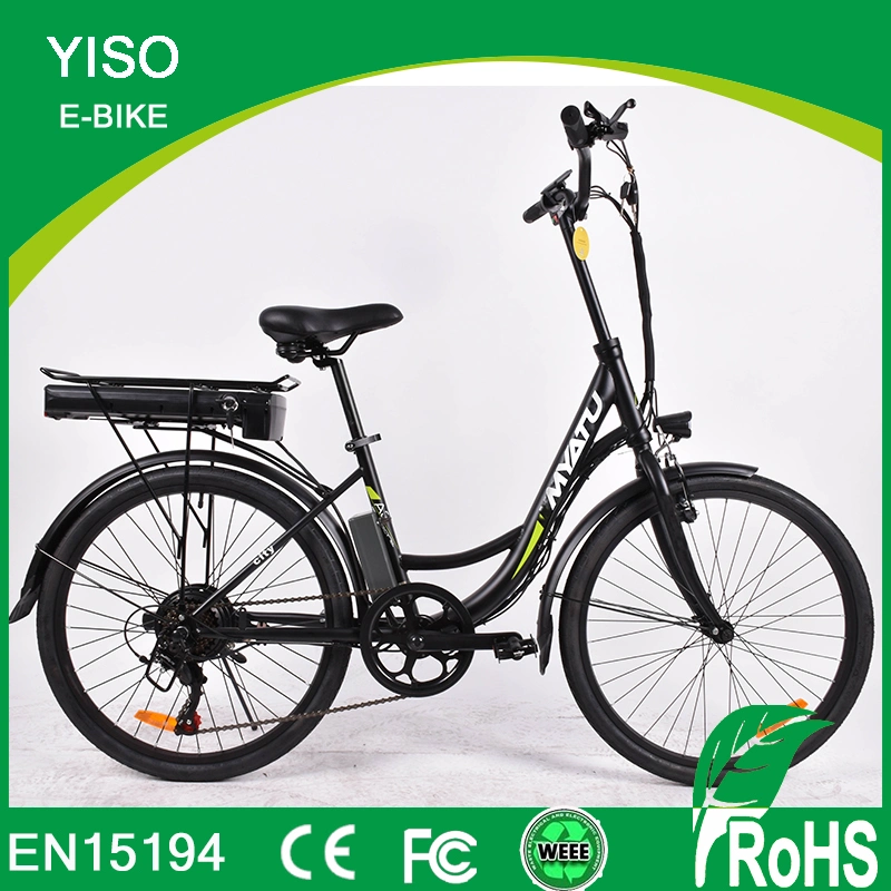 Cee vélo électrique vélo électrique avec moteur de 750 W pour batterie amovible jusqu'à 10 heures