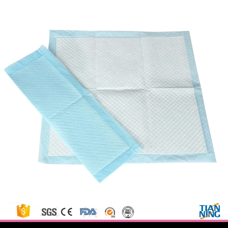 Cachorro azul Cat formação PEE Pet Pad com rótulo privado Dog pastilhas de Formação Formação descartáveis Tapete Cachorro China Promoção de desconto grossista de fábrica