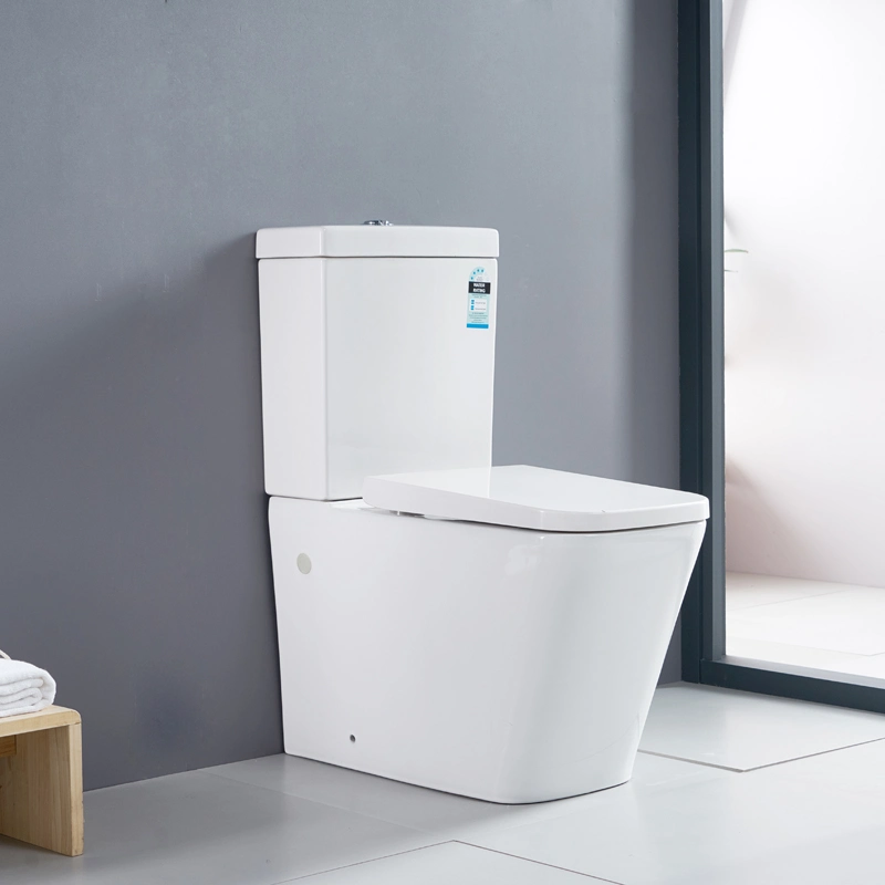 Wels Certication Back to Wall Rimless Toilet Suite