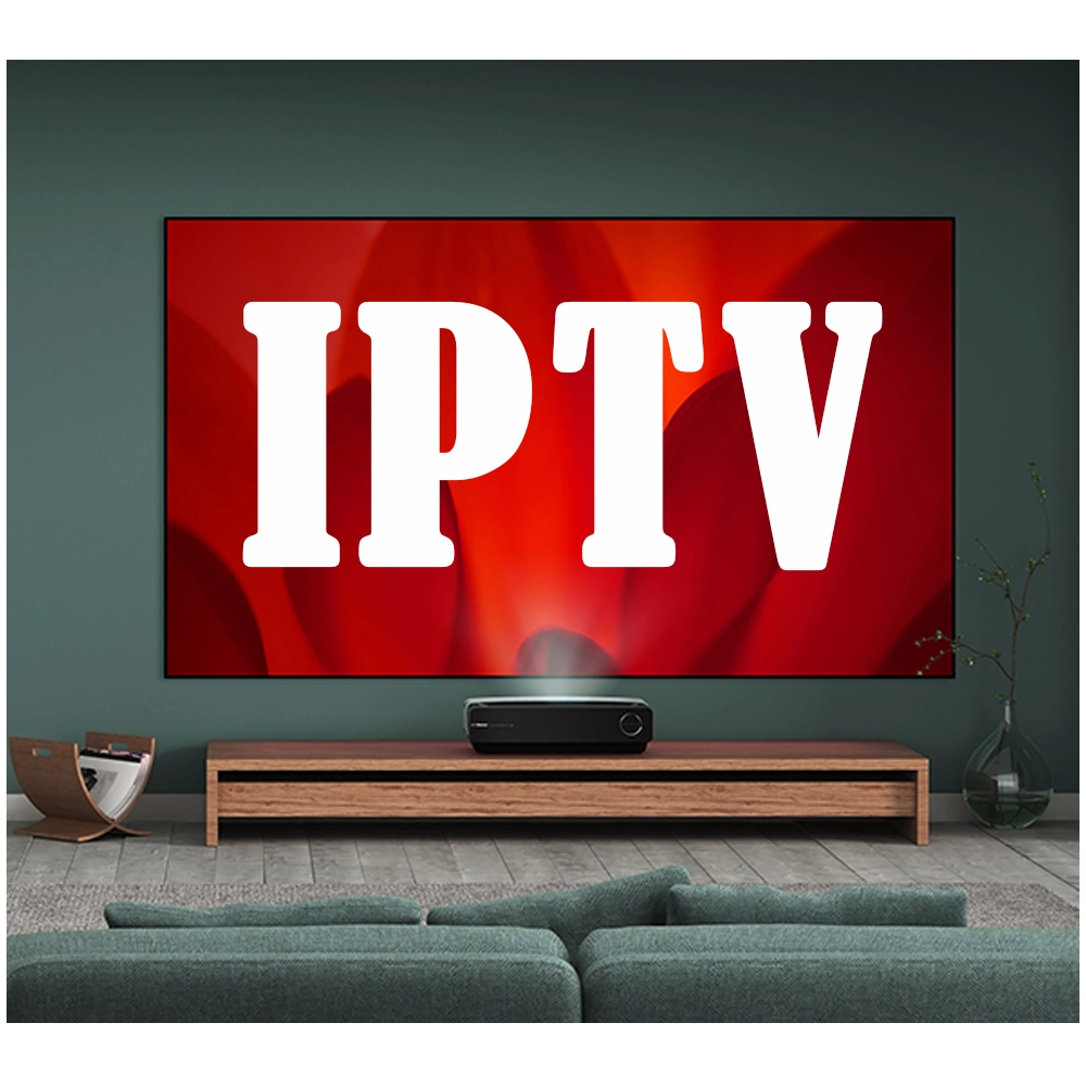 Cheapest IPTV IPTV Megaott Ott Francés Canadá Europa Marruecos Países Bajos Bélgica Alemania Suecia Turquía M3U TV inteligente Android PC TV Test Panel