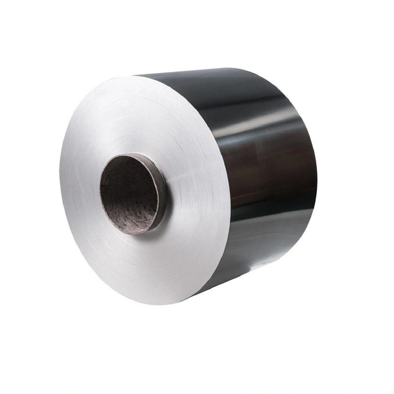 Aluminum Coil Zinc Alloy Plain Aluminum for Building Material