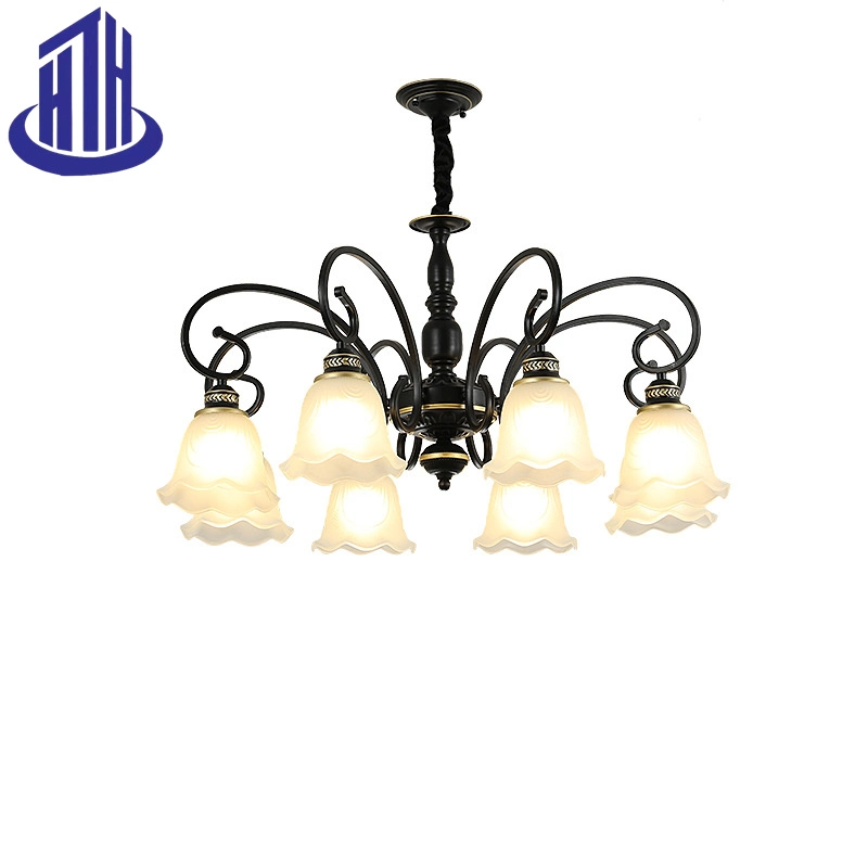 Handwork Iron Art+Frosted Glass Kapok Ceiling Pendant Light with E27*5/6/8/10 Light Fixture (HTH-MH)