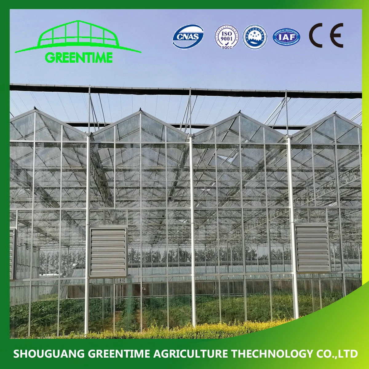 Competitive Venlo Type Galvanized Steel Structure Glass Greenhouse with Spraying System for Hydroponics/Strawberry/Vegetables/Flowers/Tomato/Cucumber