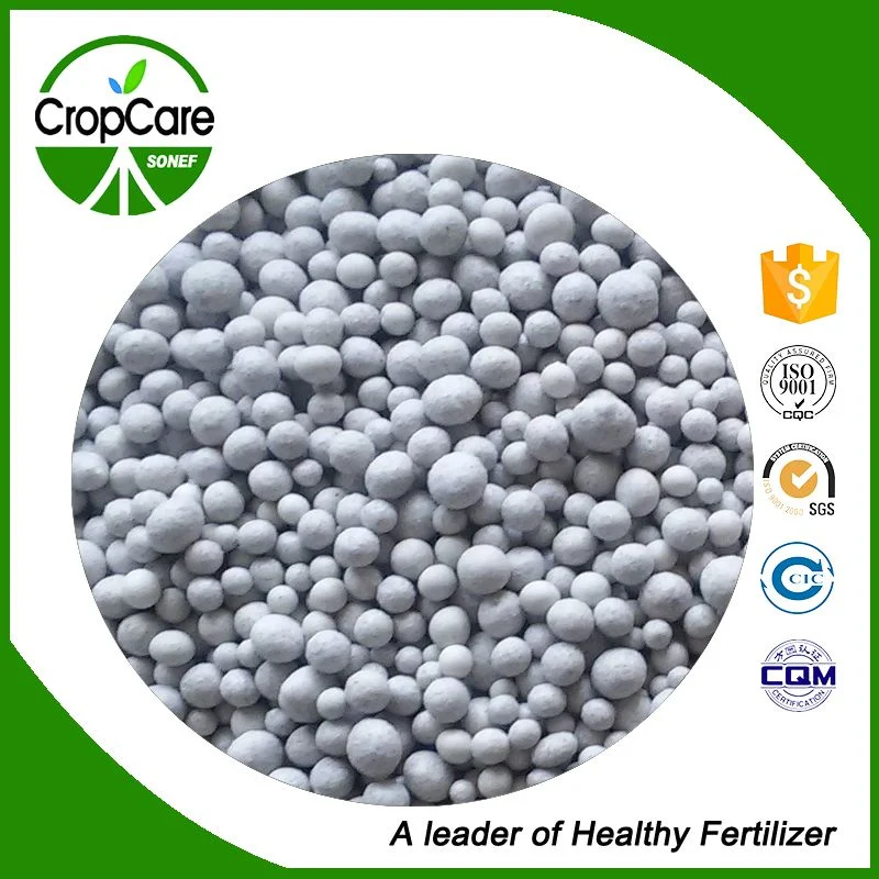 Competitive Price Granular/Powder Chemical Water Soluble NPK Compound Fertilizer 20 20 15