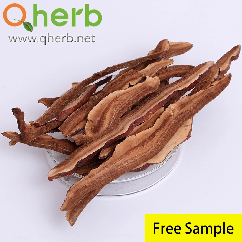 Ganoderma Lucidum Extract Lingzhi of 20% Free Sample