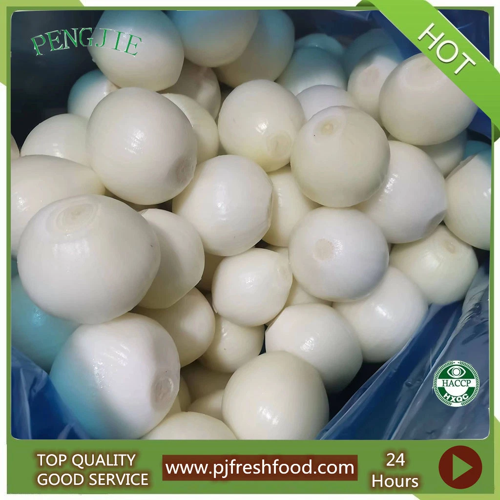 Frozen Food Frozen Peeled Onion Strips IQF White Slices/Dices/Chunk Onion for Exporting