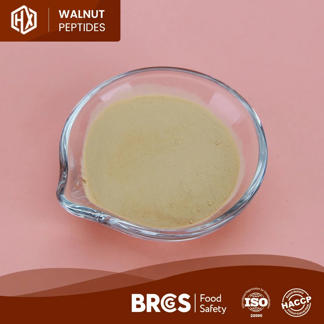 Haoxiang OEM Custom Reducing Blood Lipid and Antioxidation Walnut Peptides Wholesale/Supplier China High Purity Water Soluble Walnut Collagen Powder Peptide for Drink