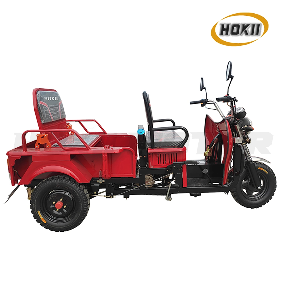 Good Quality Electri Rickshaw 2023 Manufacturer New Design Cheap Price Gasoline Cargo Tricycle Three Wheeler Trike for Sale