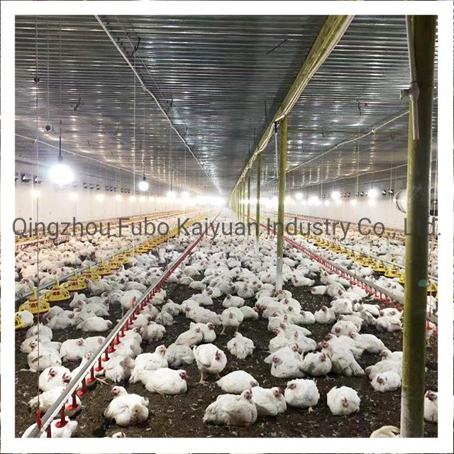 High quality/High cost performance  Poultry Farming Pan Feeding System for Chicken Farm