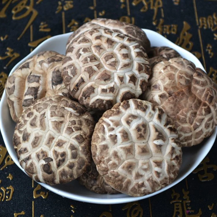 Dried Black-White Grain Tea Flower Shiitake Mushroom