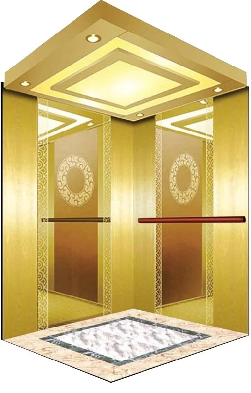 Fujixun Gorgeous and Noble Gold Cabin Passenger Elevator with Low Price