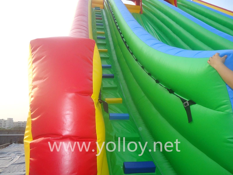 Commercial Double Lane Inflatable Slides for Sale