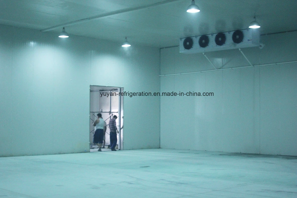 PU Panel Food Cold Storage Room for Chiller and Freezer Applications