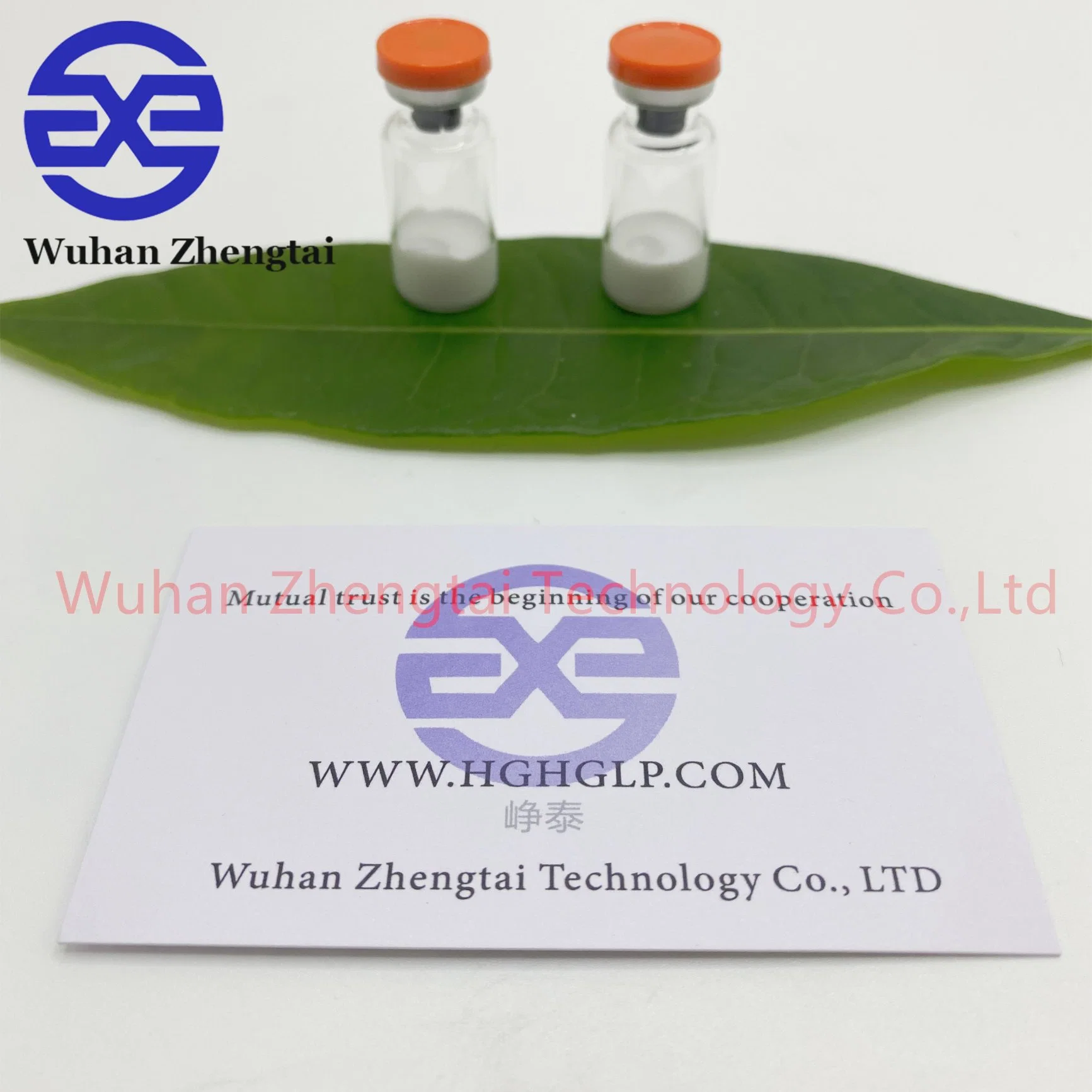 High-Quality Semaglutide Powder - 99% Pure, Melanotan II Tirzpatide Semaglutide Retatrutide