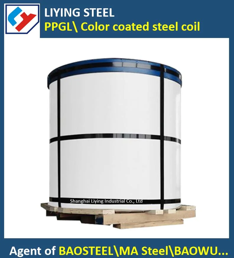 Color Coated steel Coil Baosteel Sells Q235 Cold Rolled White Grey Sheet Plate