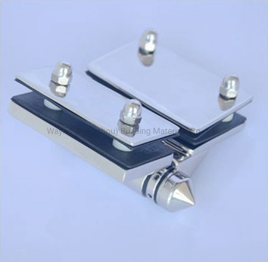 Stainless Steel Frameless Glass Fence Glass Door Hinge Glass to Glass Hinge VH2010