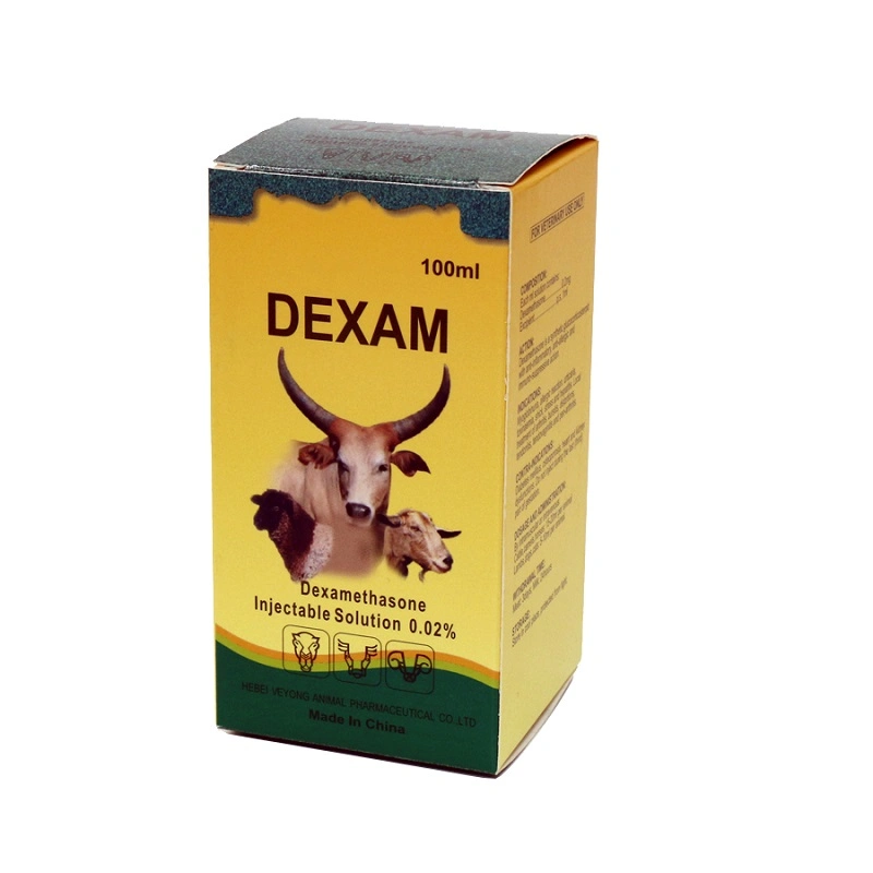 Good Quality 0.4% Dexamethason Injection 4mg/1ml Sheep Medicine Pharmaceutical Chemical From China GMP Factory