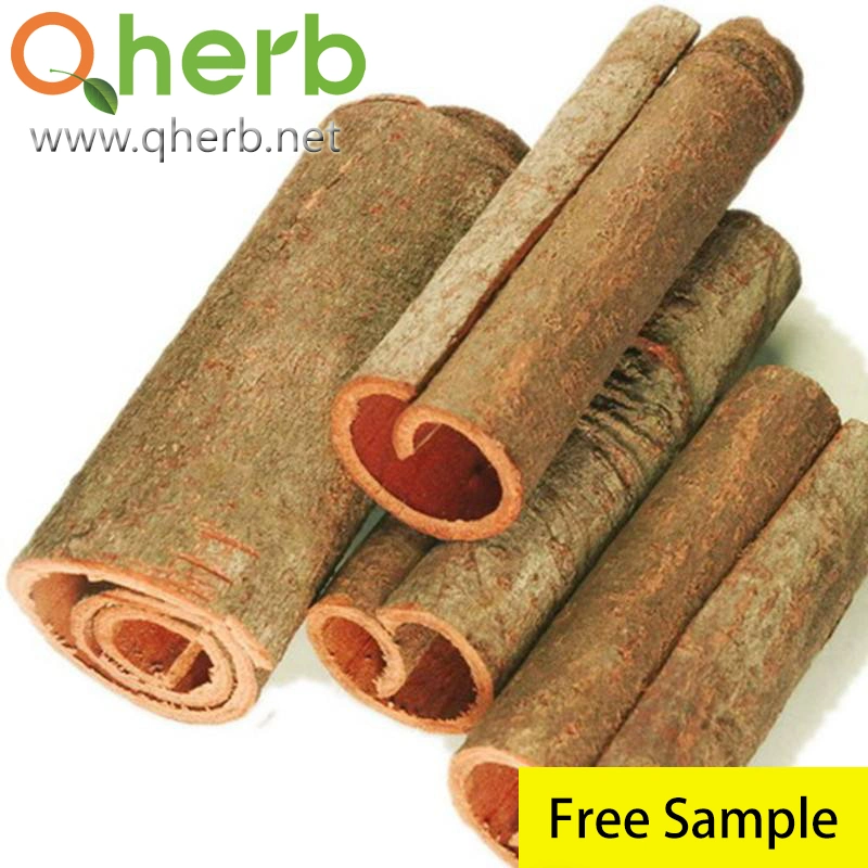 Natural Plant Extract Cinnamon Polyphenols Cortex Cinnamomi Extract with Good Smell for Men&prime; S Health and Anti-Oxidation Herb Herbal