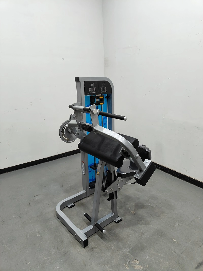 Nouvelle arrivée 2023 équipements de Gym Triceps Exercice d'extension pour le corps d'entraînement de la machine