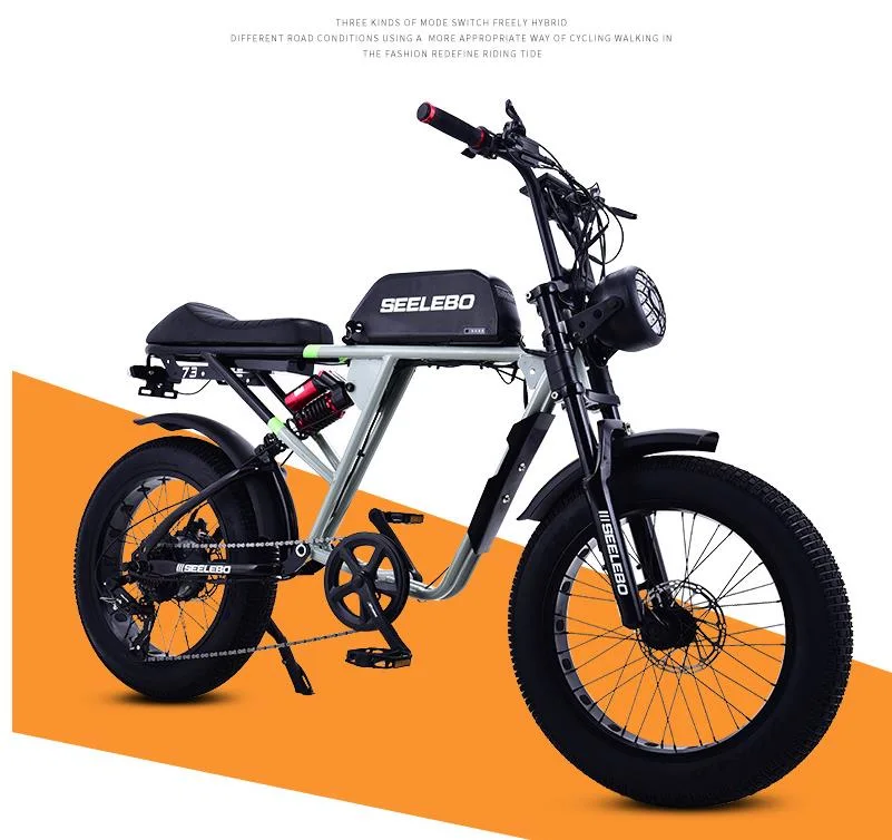 Bicicleta eléctrica reemplazo de plano Retro Electric Snowmobile hombres y mujeres 48V bicicletas de montaña Power