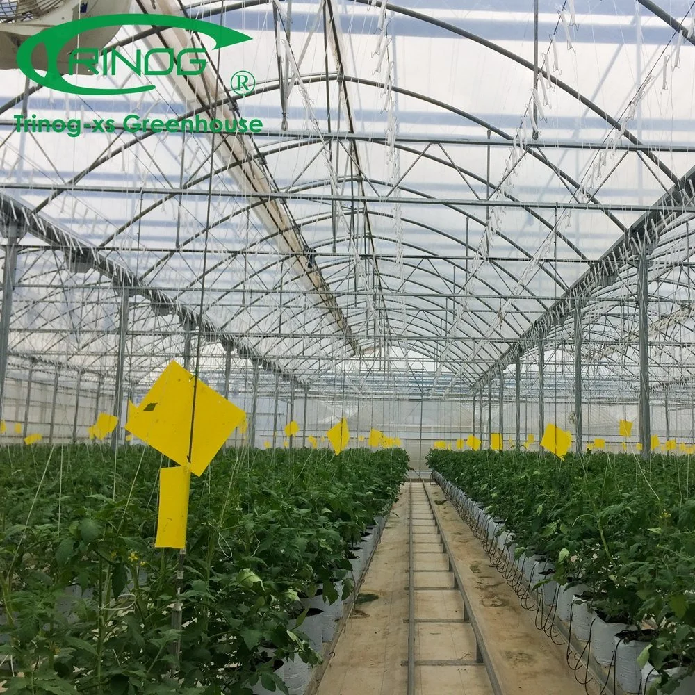 The Newest Multi-Span Galvanized Steel Pipe Structure Glass Greenhouse with Inner Shading System for Agriculture