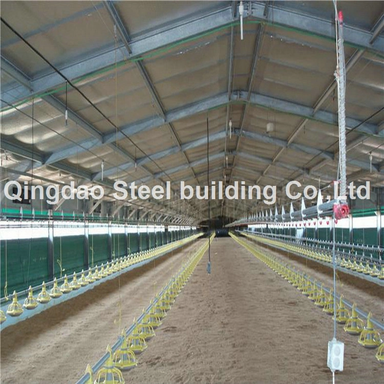 Poultry Chicken Coop House Steel Structure Construction Steel Farm Shed Building